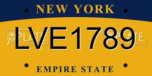 LVE1789 New York License Plate