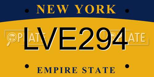 LVE294 New York License Plate
