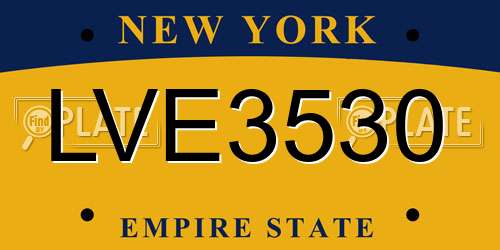 LVE3530 New York License Plate