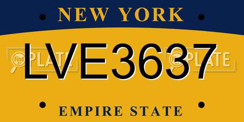 LVE3637 New York License Plate