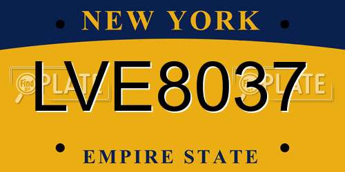 LVE8037 New York License Plate