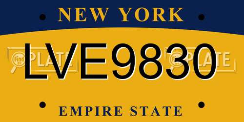 LVE9830 New York License Plate