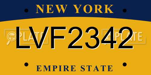 LVF2342 New York License Plate