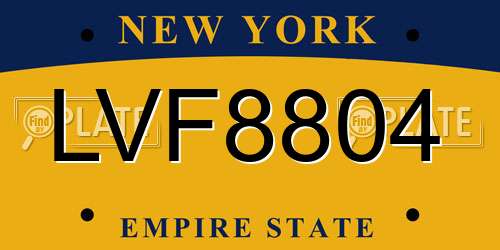 LVF8804 New York License Plate