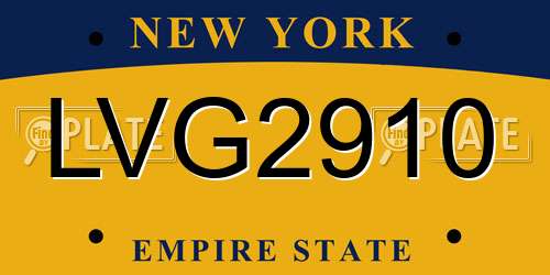 LVG2910 New York License Plate