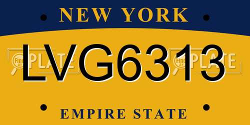 LVG6313 New York License Plate