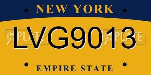LVG9013 New York License Plate