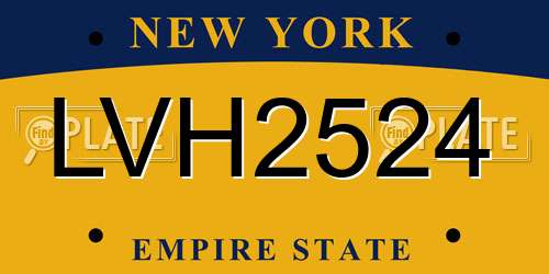 LVH2524 New York License Plate