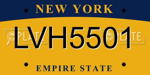 LVH5501 New York License Plate