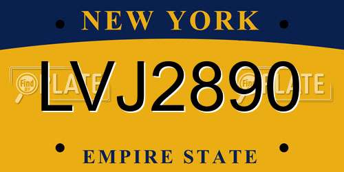 LVJ2890 New York License Plate