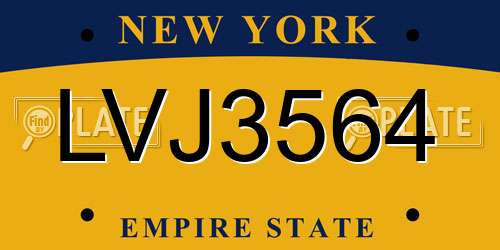 LVJ3564 New York License Plate