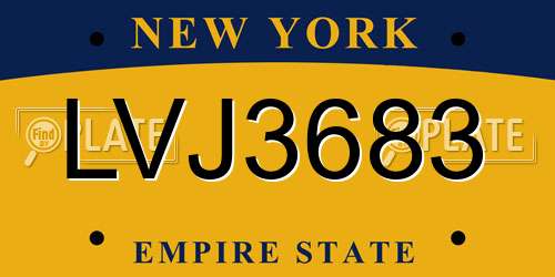 LVJ3683 New York License Plate