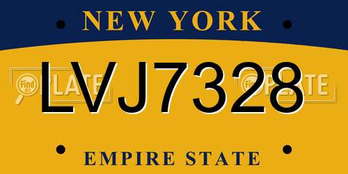 LVJ7328 New York License Plate
