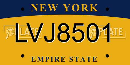 LVJ8501 New York License Plate