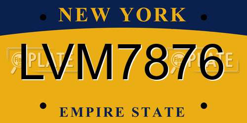 LVM7876 New York License Plate
