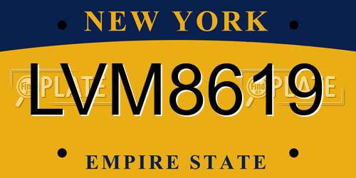 LVM8619 New York License Plate
