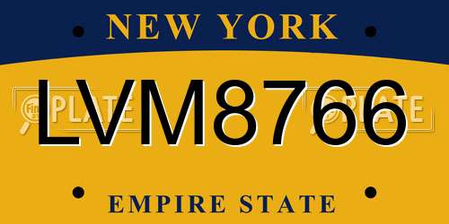 LVM8766 New York License Plate