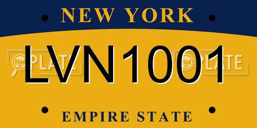 LVN1001 New York License Plate