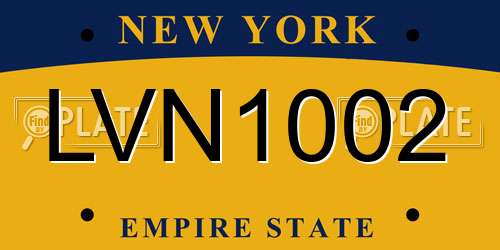 LVN1002 New York License Plate