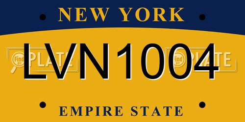 LVN1004 New York License Plate