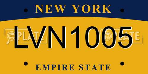 LVN1005 New York License Plate