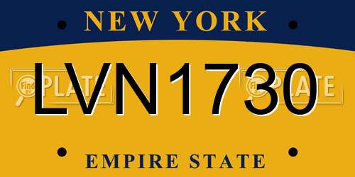 LVN1730 New York License Plate