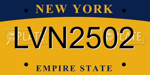 LVN2502 New York License Plate