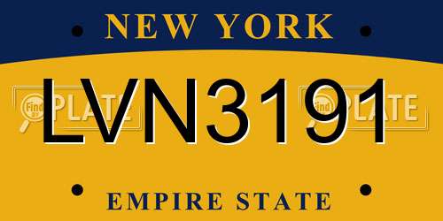 LVN3191 New York License Plate