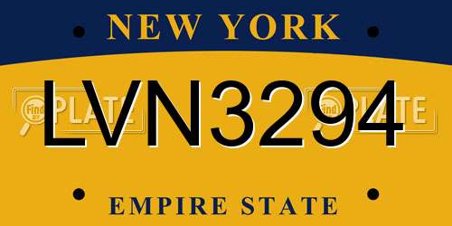 LVN3294 New York License Plate