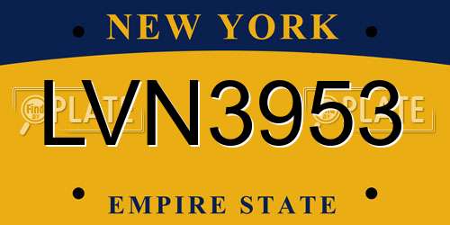 LVN3953 New York License Plate