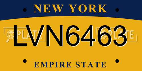 LVN6463 New York License Plate
