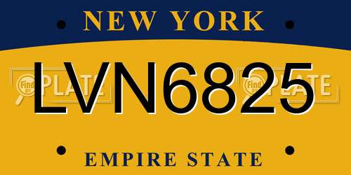 LVN6825 New York License Plate