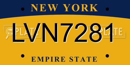 LVN7281 New York License Plate