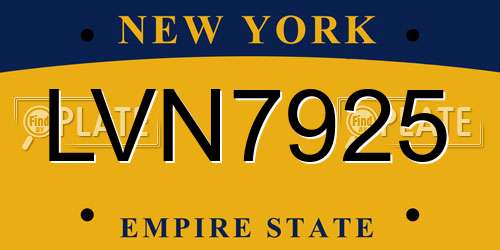 LVN7925 New York License Plate