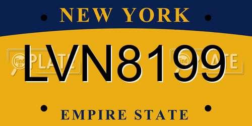 LVN8199 New York License Plate