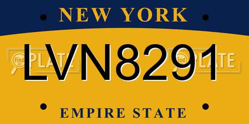 LVN8291 New York License Plate