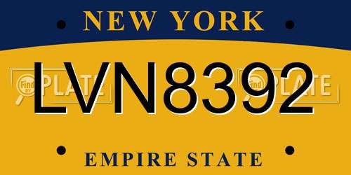 LVN8392 New York License Plate