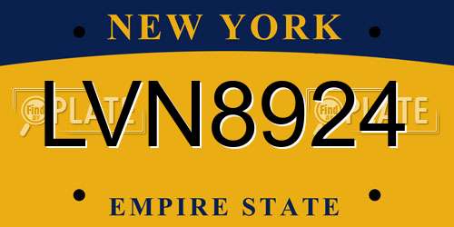 LVN8924 New York License Plate