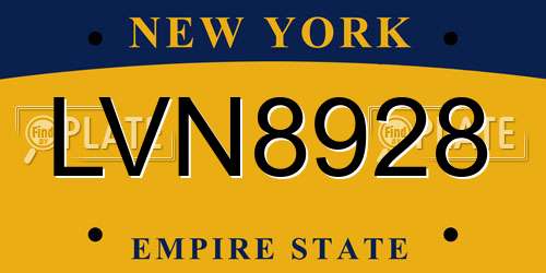 LVN8928 New York License Plate