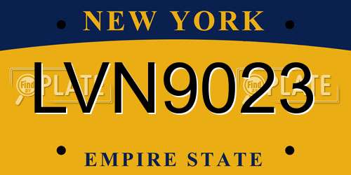 LVN9023 New York License Plate