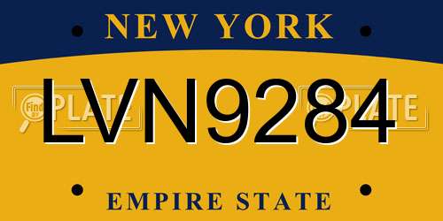 LVN9284 New York License Plate