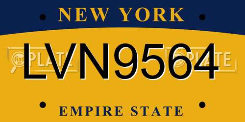 LVN9564 New York License Plate