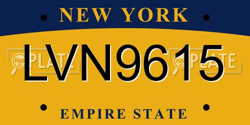 LVN9615 New York License Plate