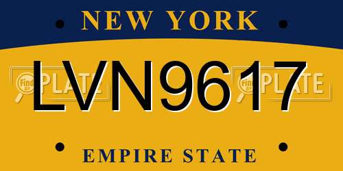 LVN9617 New York License Plate