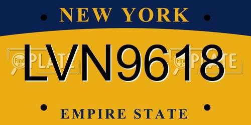 LVN9618 New York License Plate