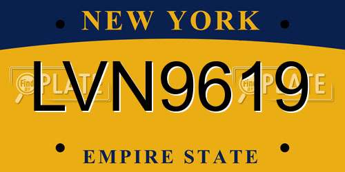 LVN9619 New York License Plate