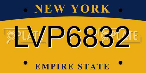 LVP6832 New York License Plate