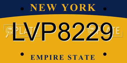 LVP8229 New York License Plate