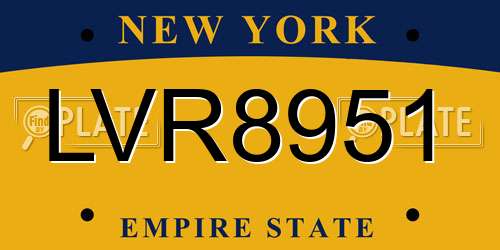 LVR8951 New York License Plate