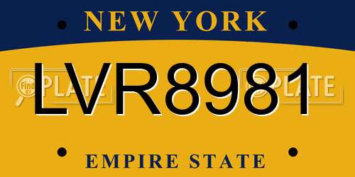 LVR8981 New York License Plate